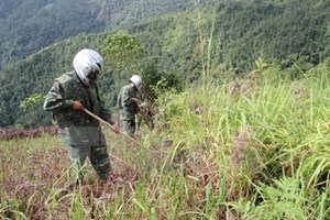 Rà phá bom mìn, trả lại màu xanh cho vùng biên cương Tổ quốc (04/4/2017)